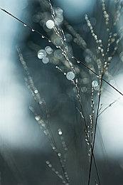 《方块方舟》新生物辉光鸟降临，生物征集活动火热再启