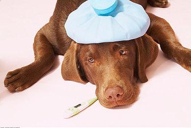 《螃蟹大战2》EA版今年冬登陆Steam 融入格斗动作