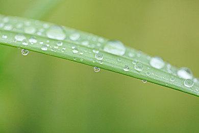 《古墓丽影》开发商将于明年“尽快”展示新作 虚幻5推进新高度